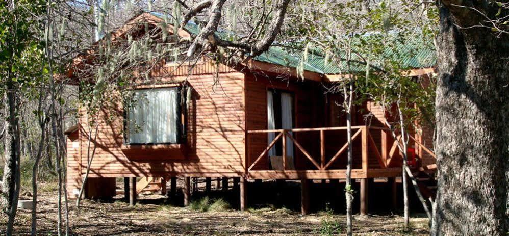 Cabanas Roble Quemado Las Trancas Exterior photo